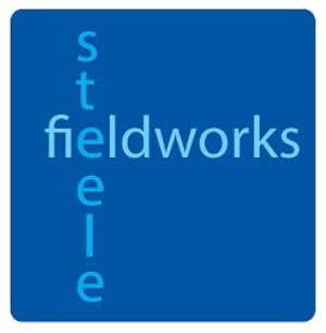 Steele Fieldworks Ltd Company Logo